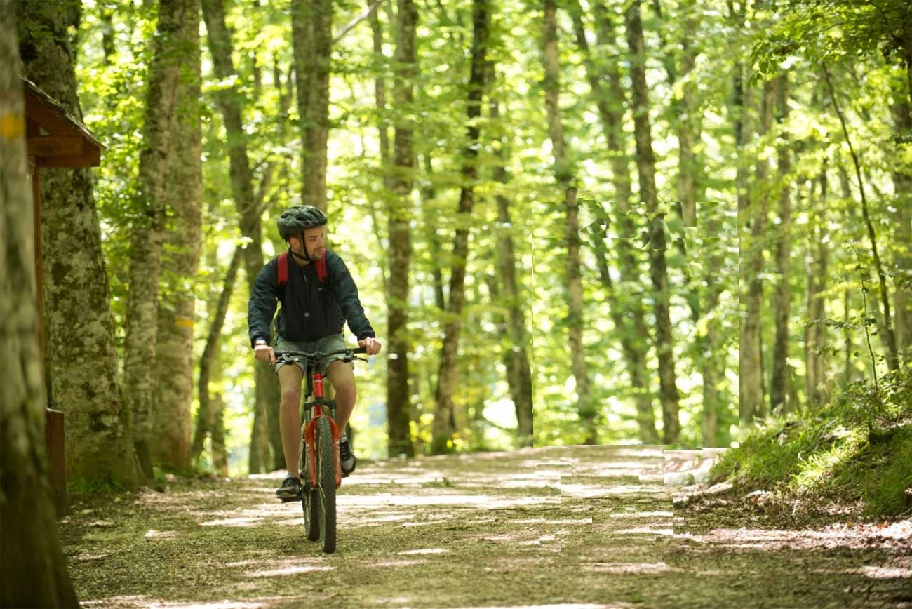 Percorso in mountain bike in foresta Umbra nel Parco del Gargano