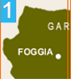 Cartina del Tavoliere delle Puglie