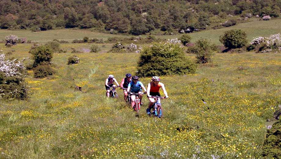 Percorso in mountain bike a Vieste del Gargano in Puglia 