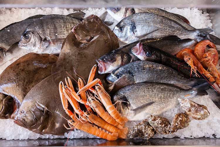 Pesce, crostacei, molluschi la fanno da padrone nella gastronomia dei paesi di mare del Gargano