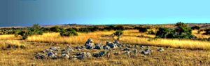 Tipico paesaggio dell' Alta Murgia tra i Parchi Riserve Aree Protette in Puglia